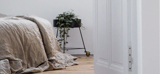 Cozy Is Calling