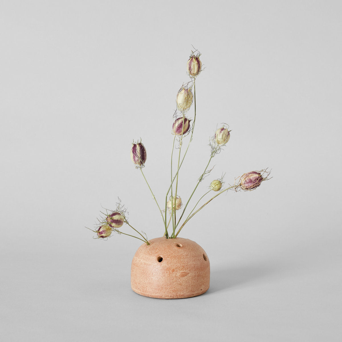 Strategically posed Dried Nigella Pods in a terracotta frog vase