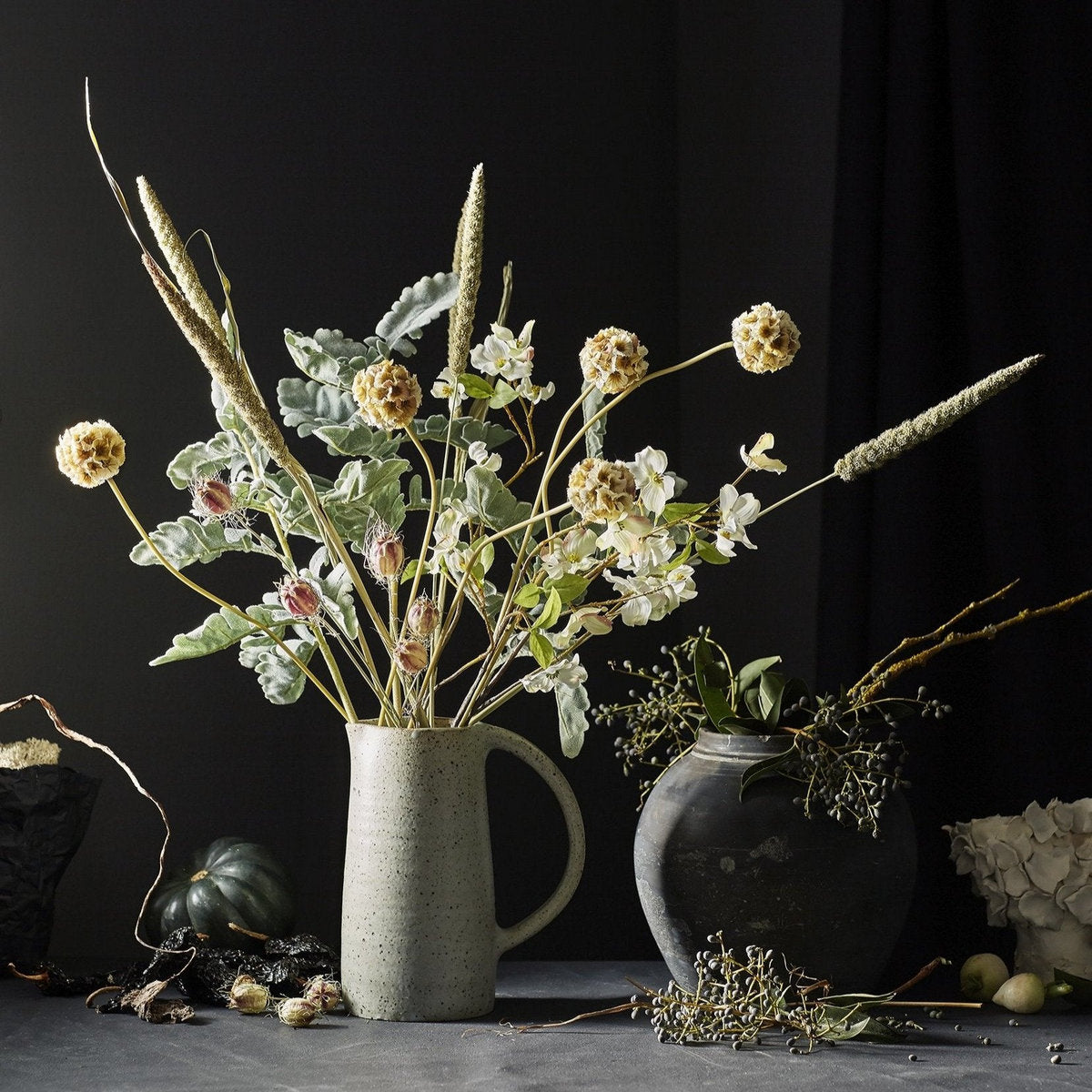 Dried Nigella Pods - Bloomist