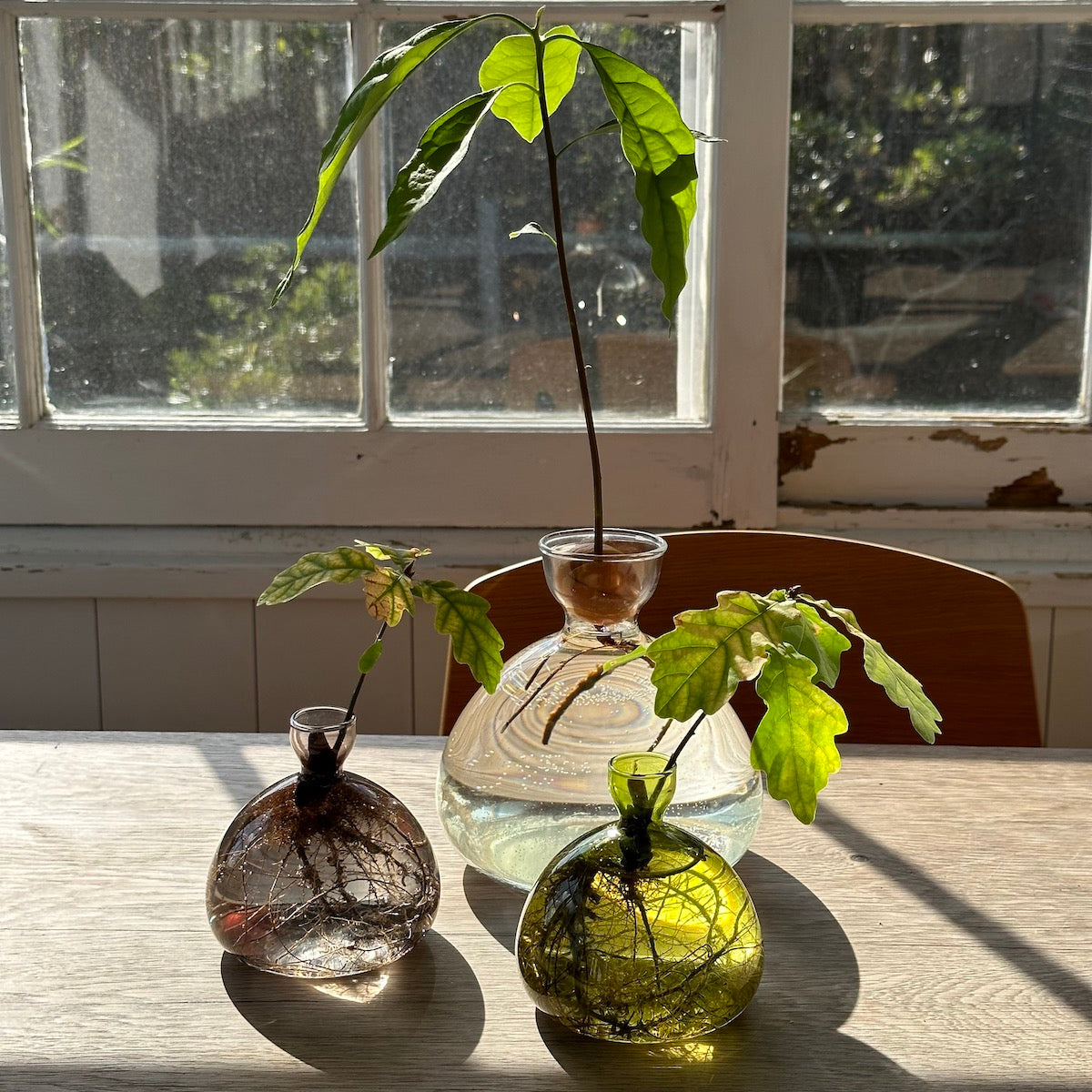 Acorn Vase - Bloomist