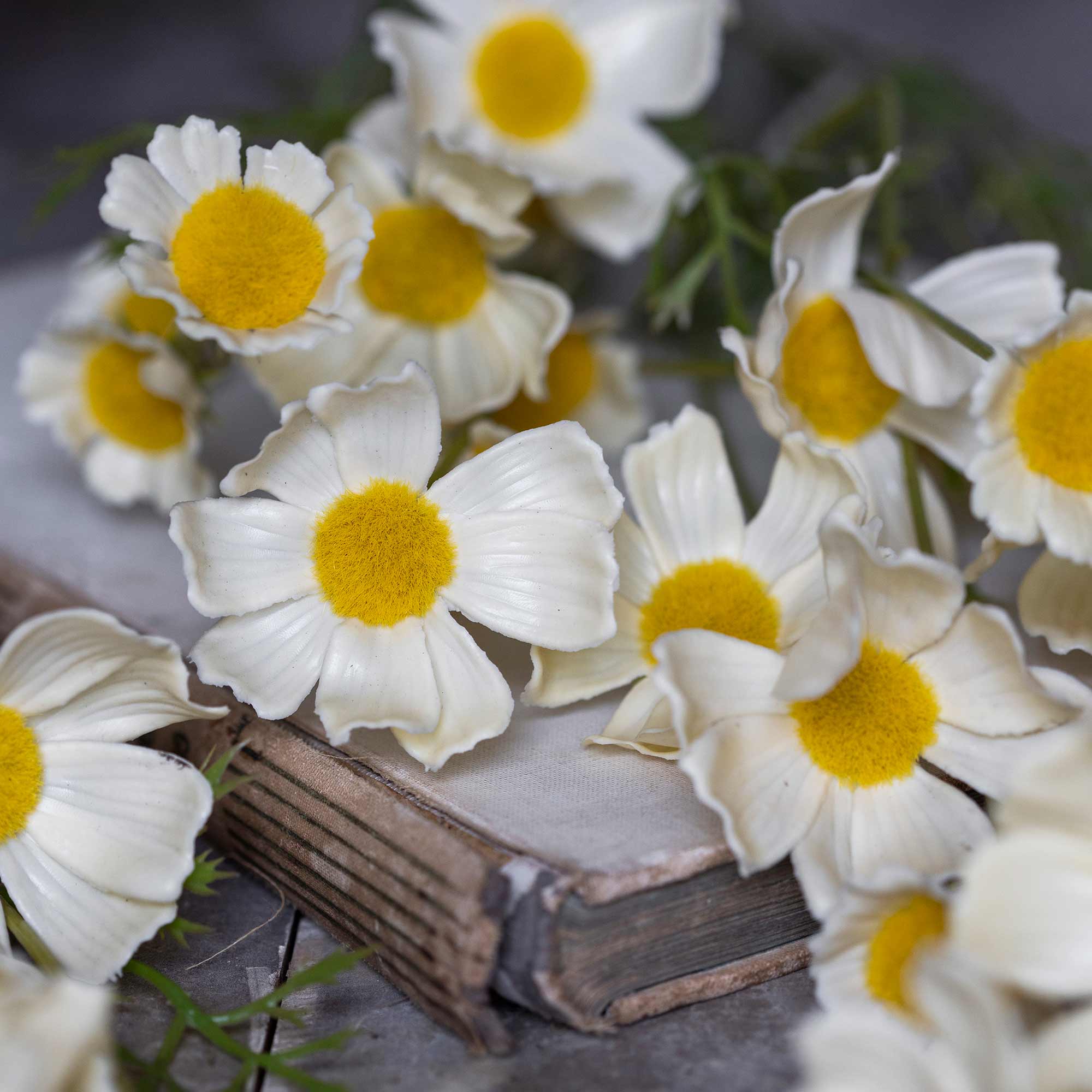 Artificial cosmos flowers styled on a vintage book with open, meadow-picked look