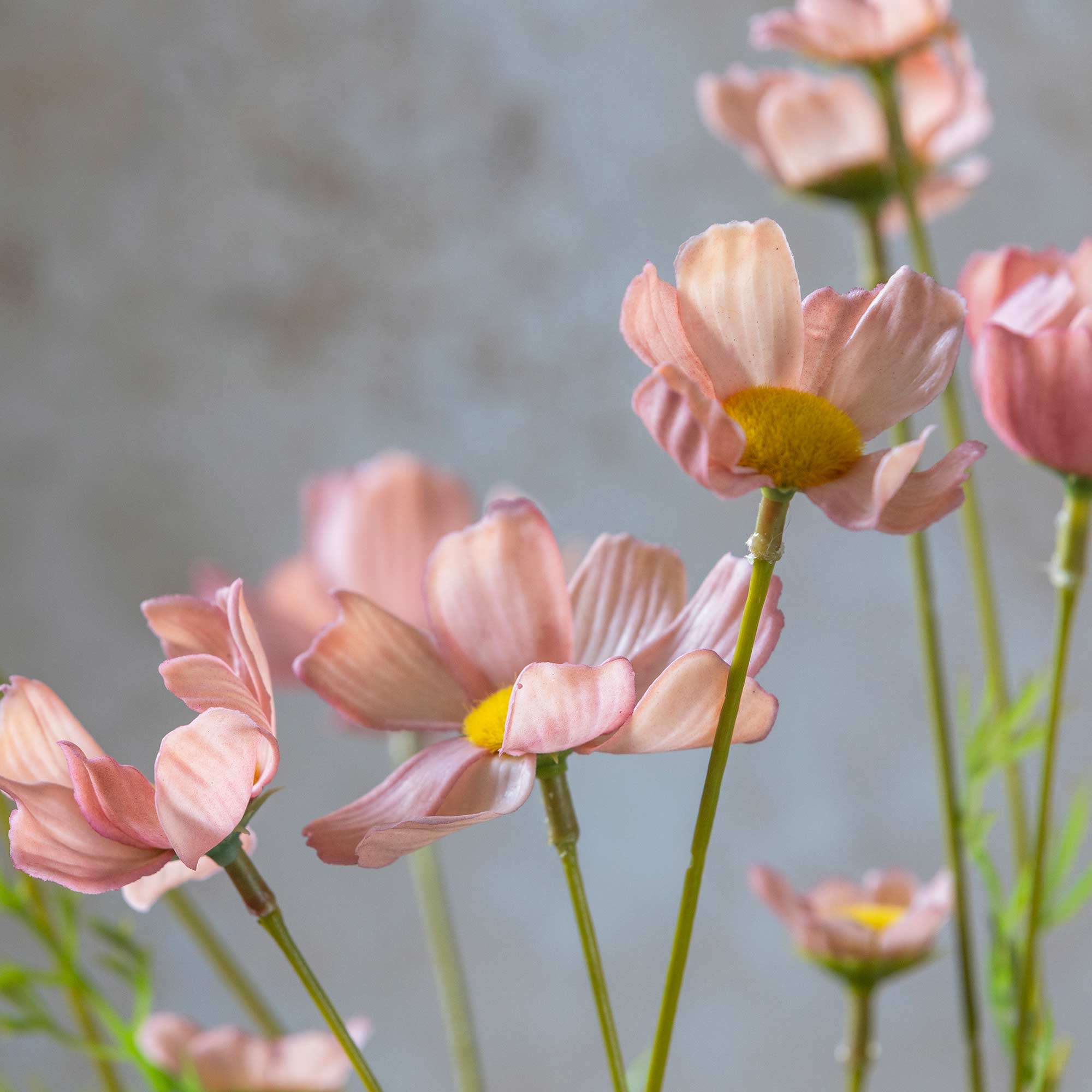 Soft pink faux cosmos stem with flexible wire structure