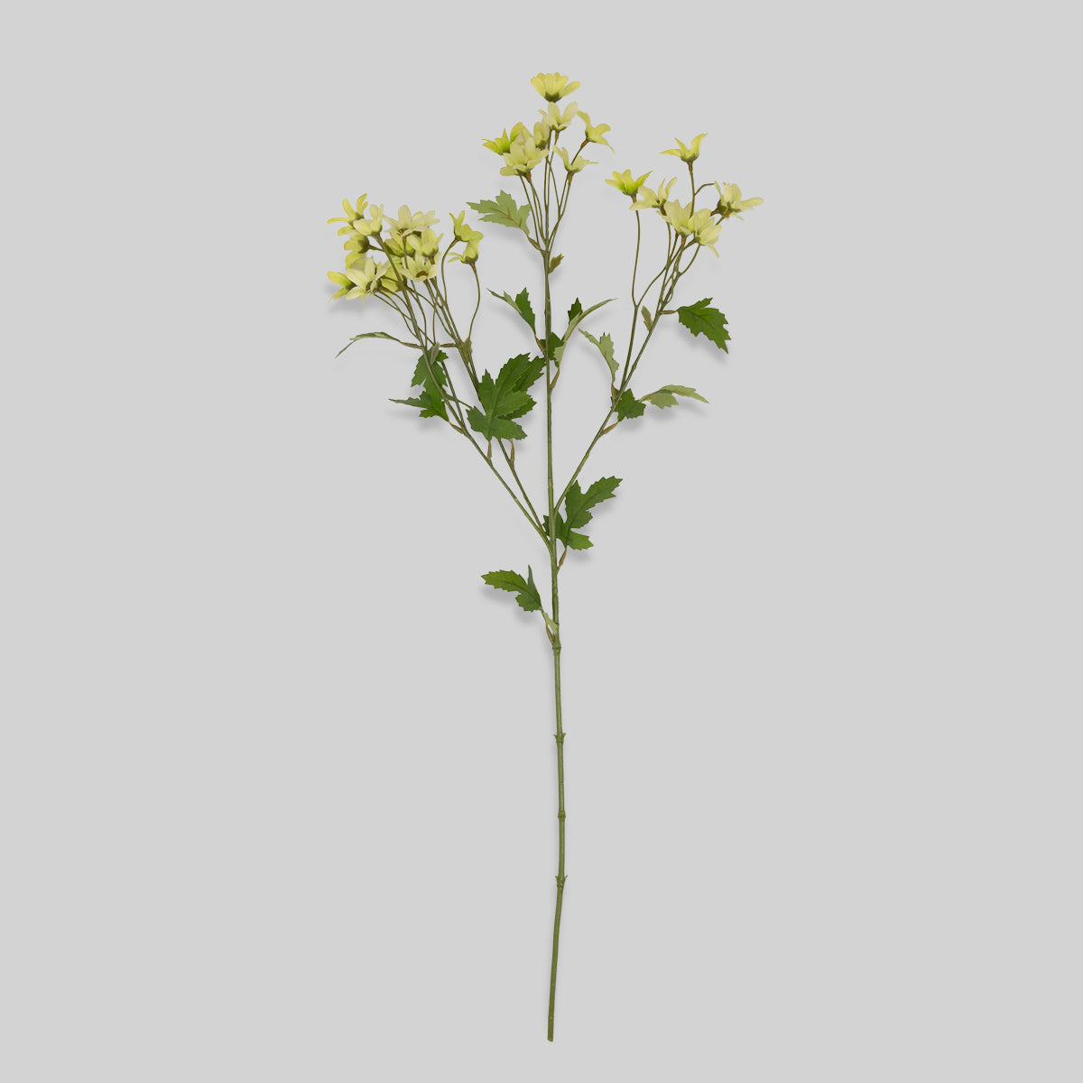 Artificial white daisies with cream-toned blooms and airy green branching