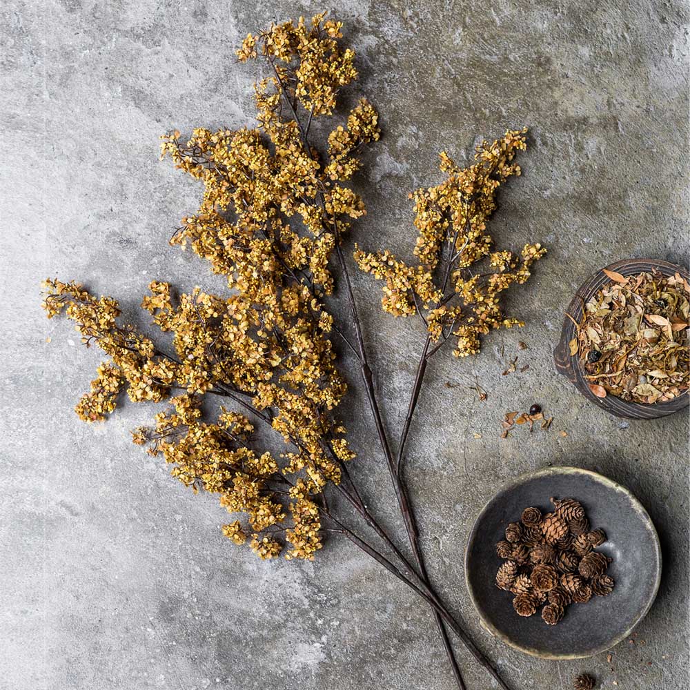 Faux Sedge, Winter Saffron sedge grass stem with branching brown stems and clusters of small saffron-colored seed heads.
