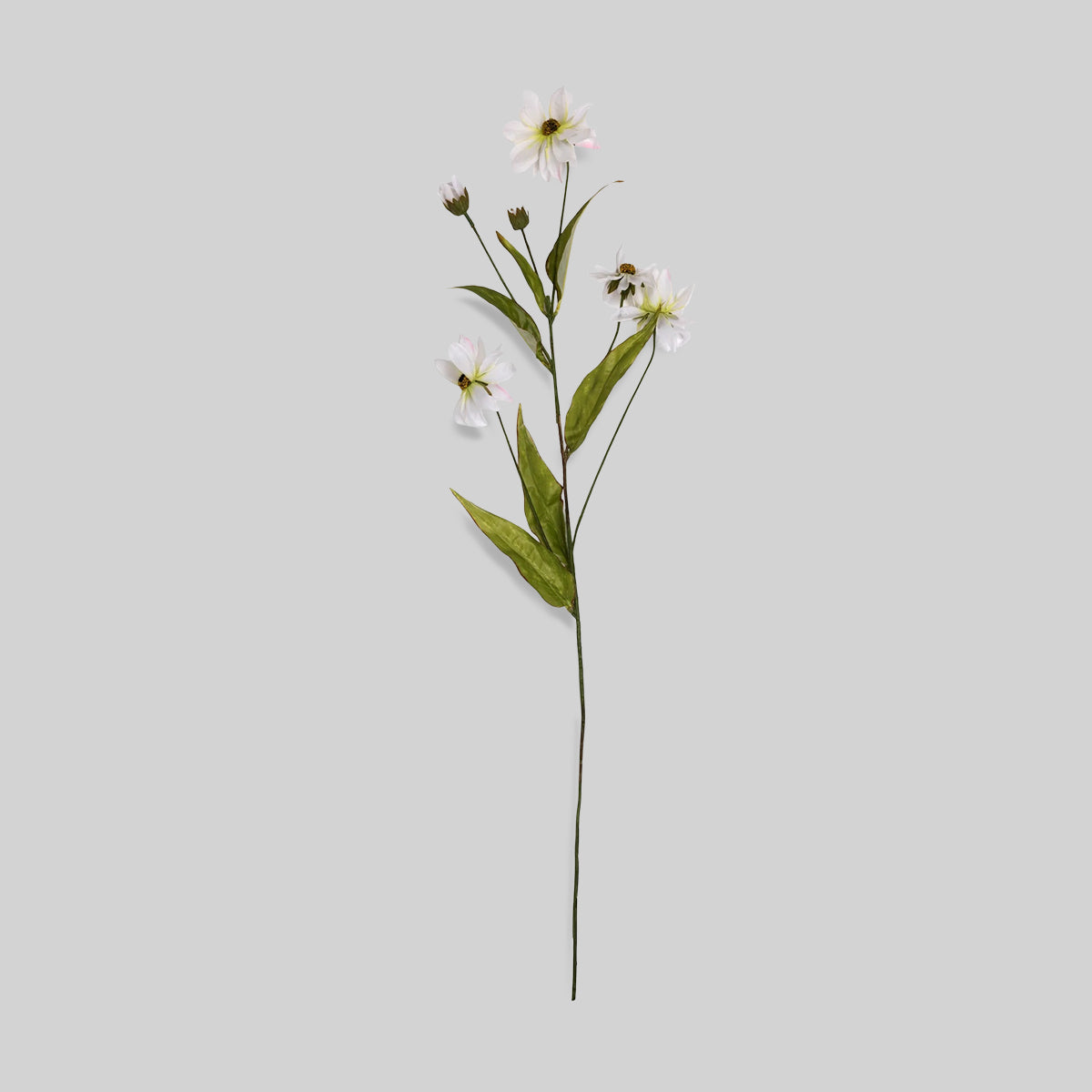 Faux cosmos stem on gray background with white blooms and long green leaves