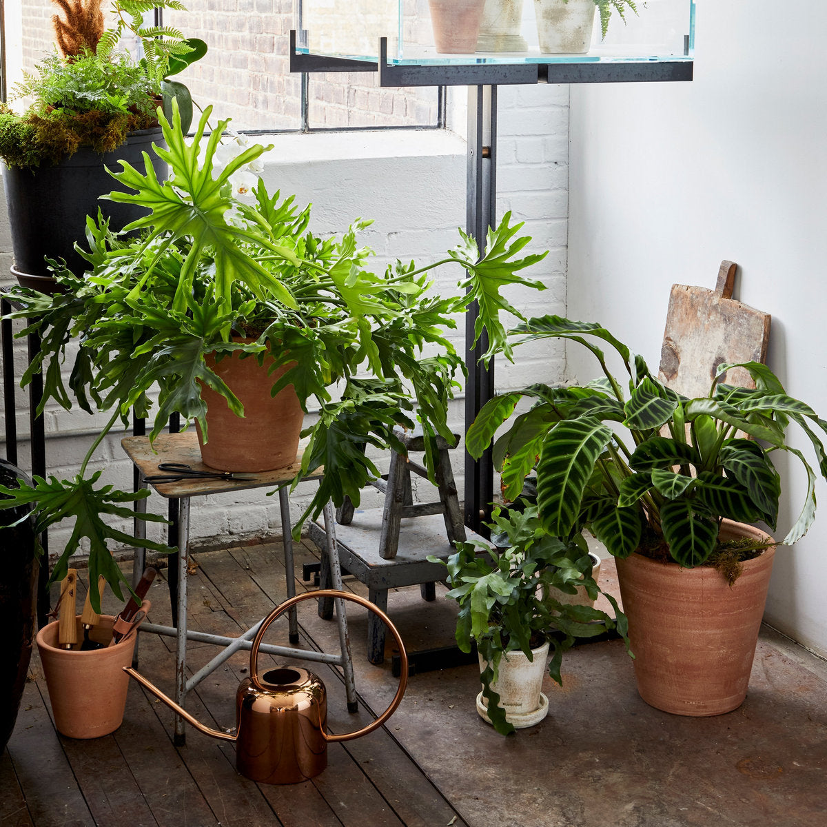 Studio Planter, Whitewash - Bloomist
