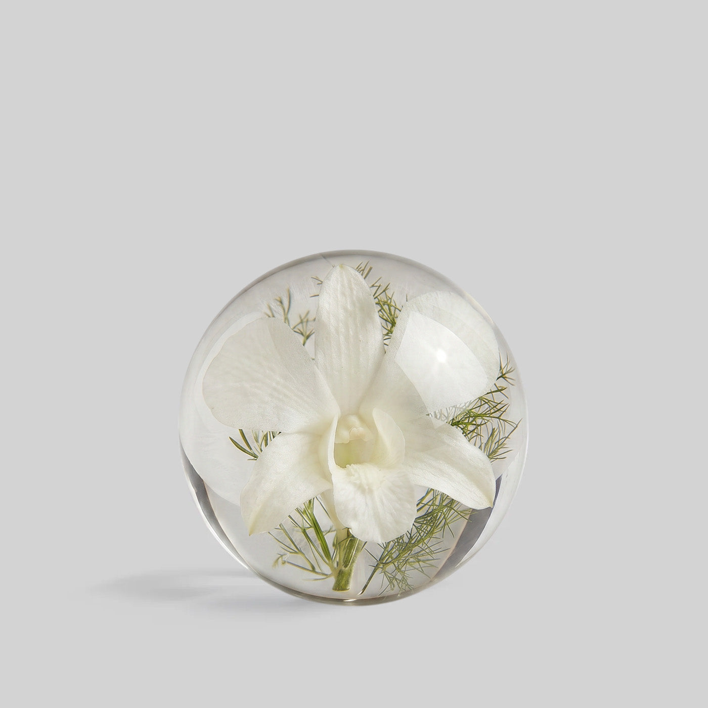 White Orchid Botanical Resin Paperweight