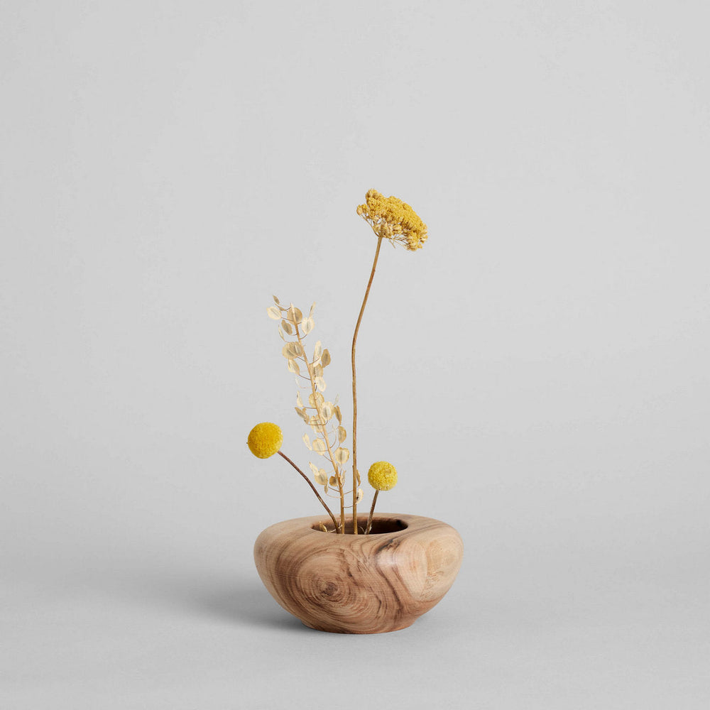Dried Craspedia - Bloomist