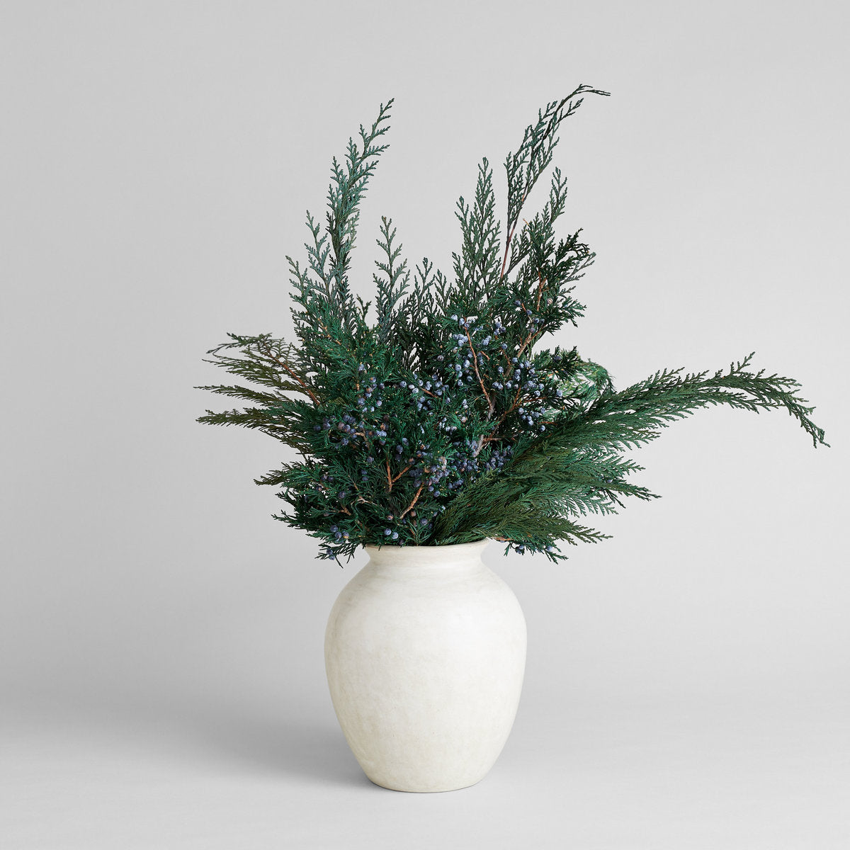Preserved Juniper With Berries - Bloomist