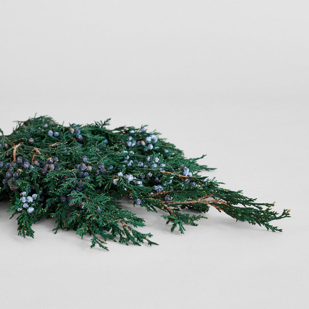 Preserved Juniper With Berries - Bloomist