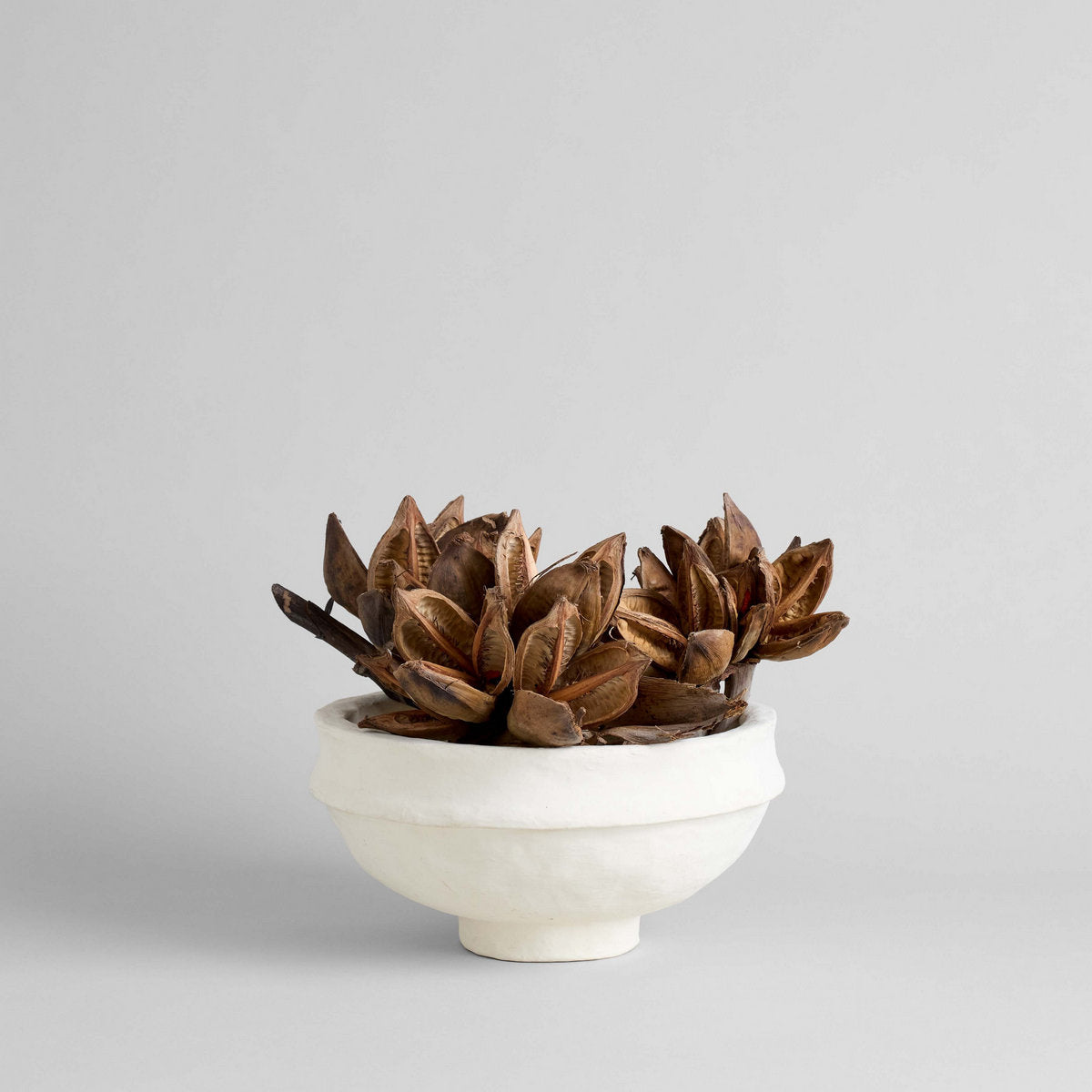 Papier Maché Bowl - Bloomist