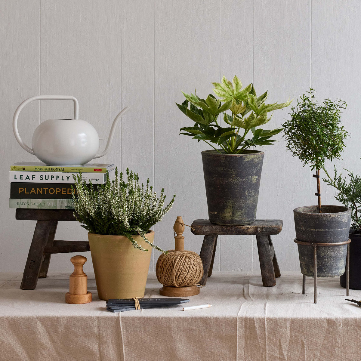 Paper Pot Press - Bloomist