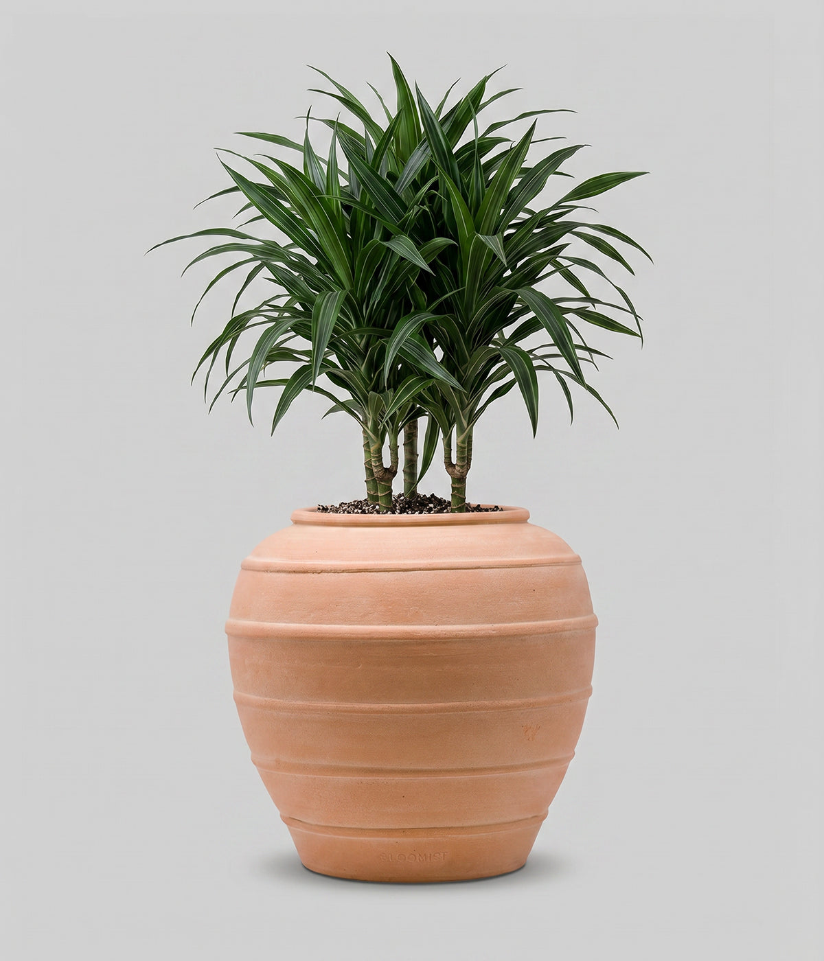 Barrel Terracotta Planter