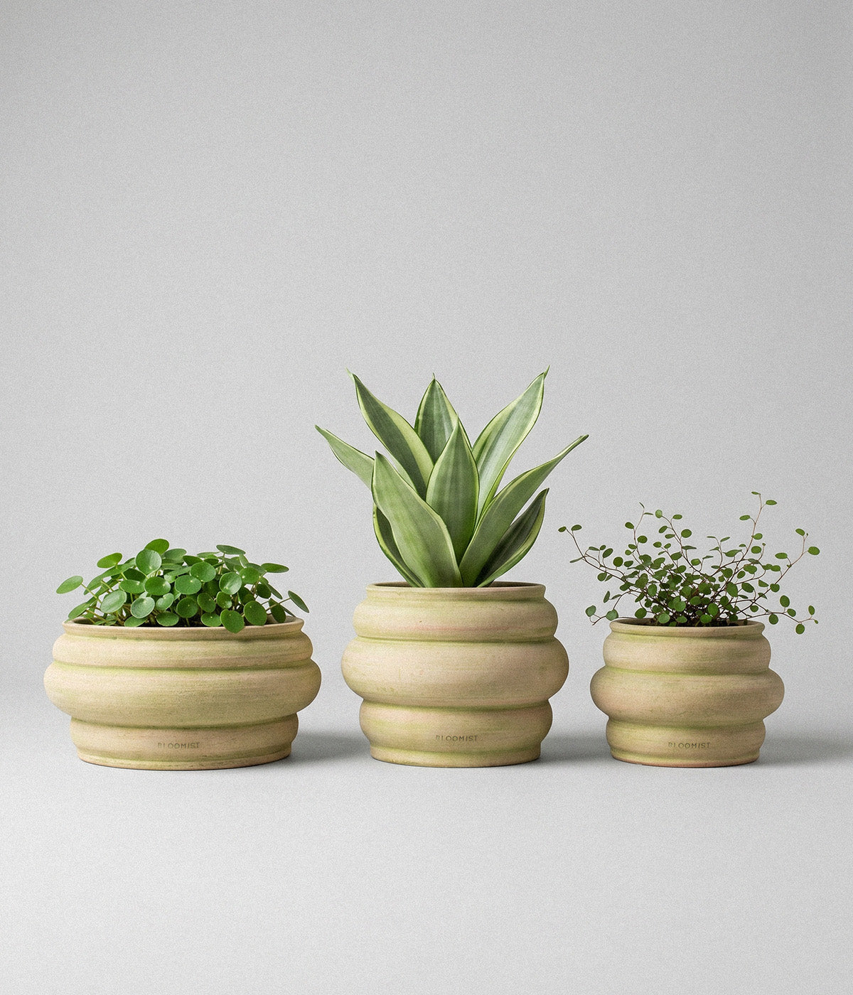 Basin Terracotta Pot, Greenwash