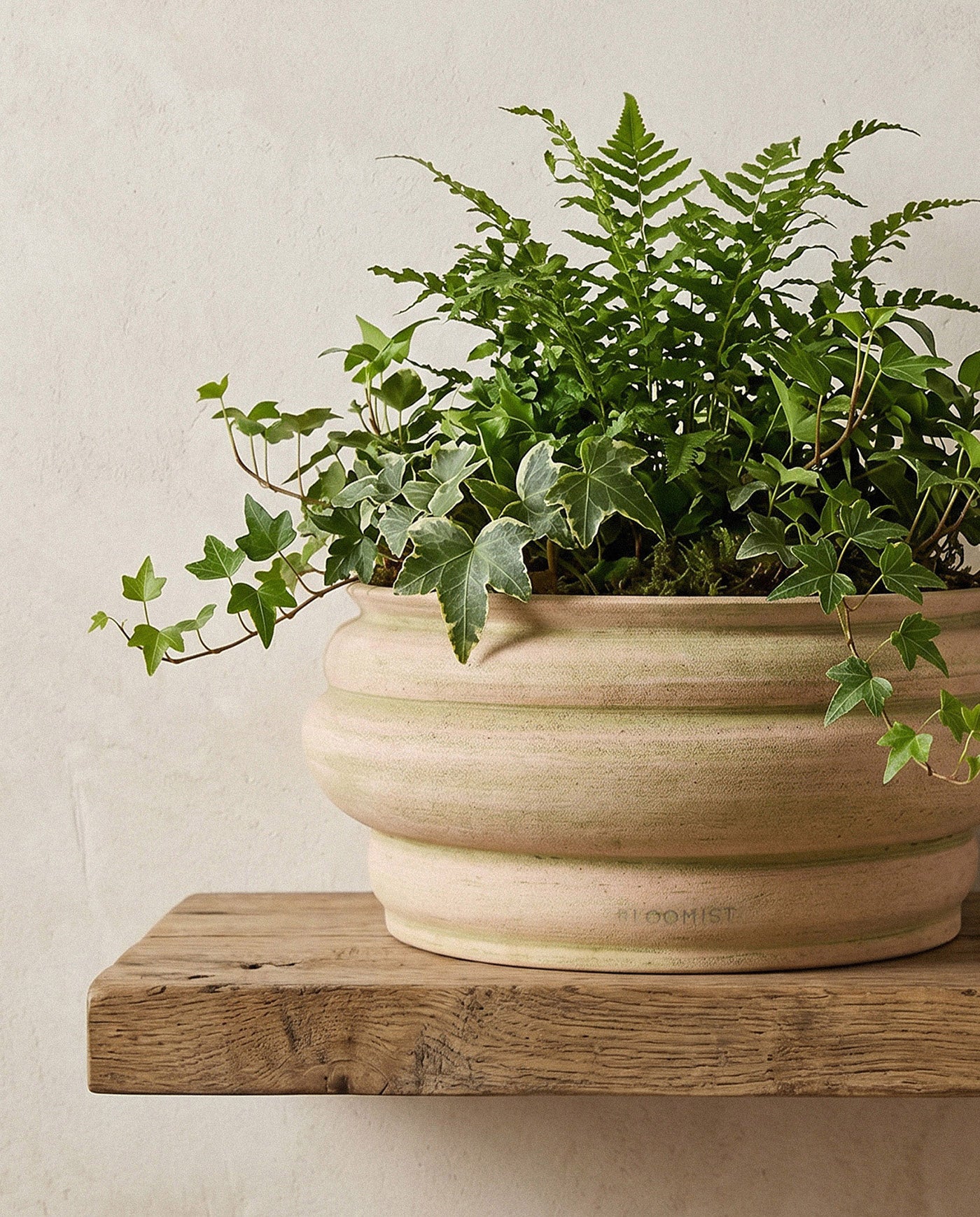 Basin Terracotta Pot, Greenwash