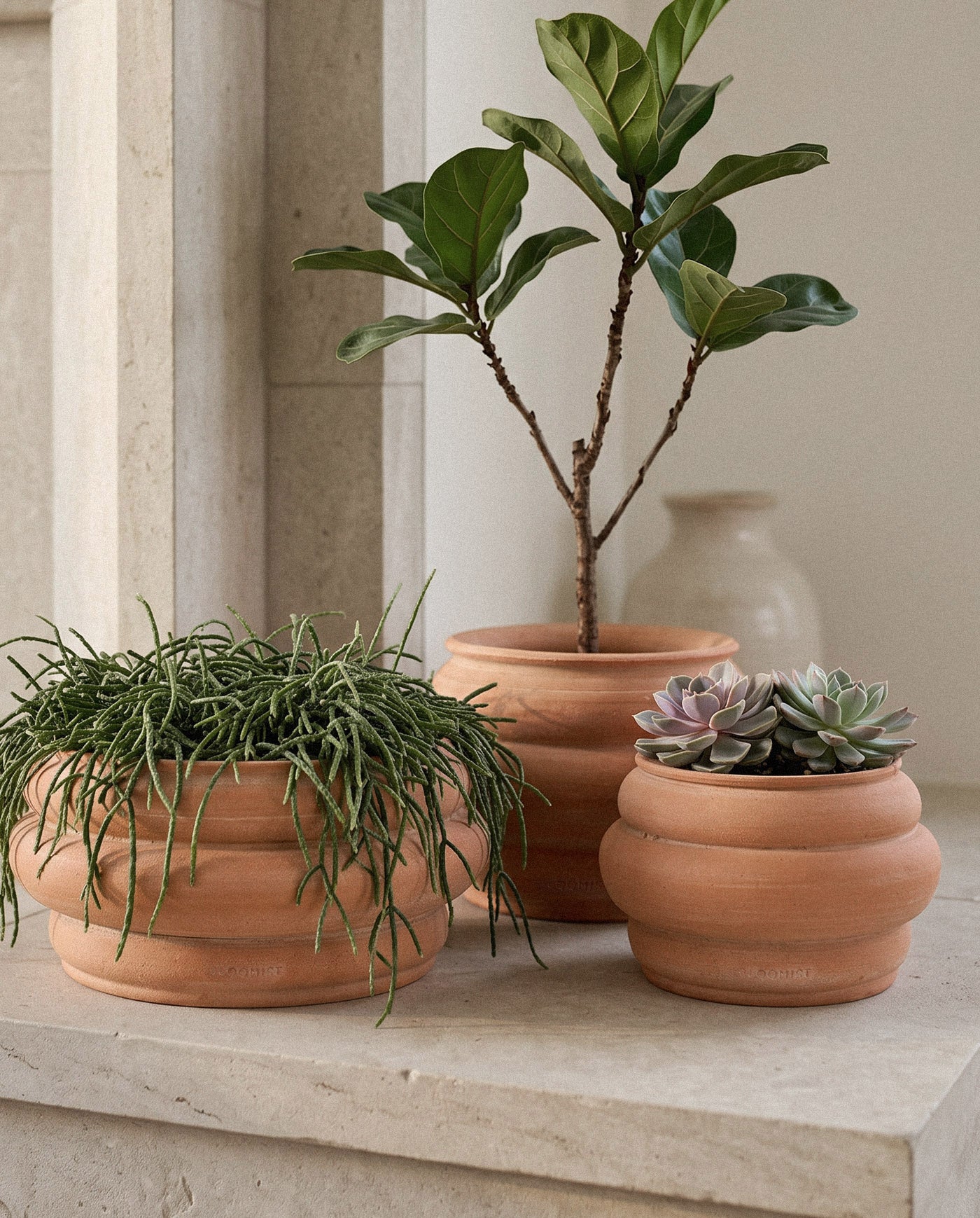 Basin Terracotta Pot, Whitewash