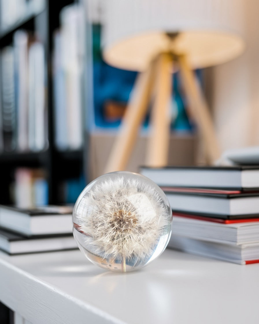 Botanical dandelion paperweight for desk or shelf display