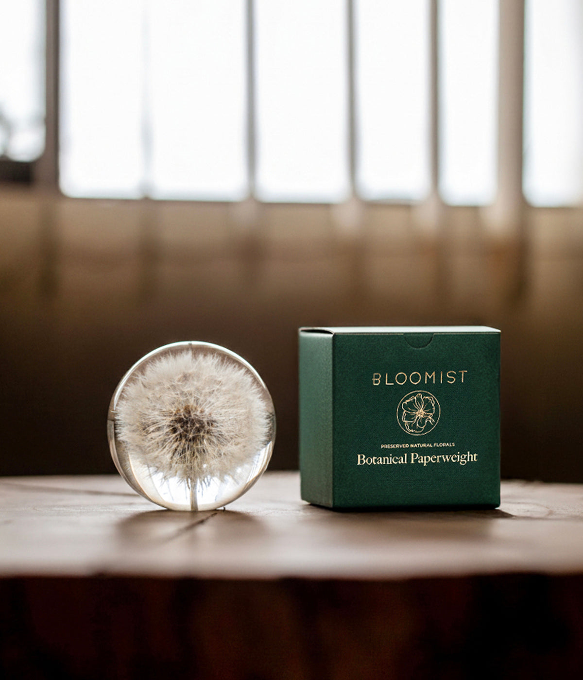 Hand-cast dandelion paperweight made in South Wales