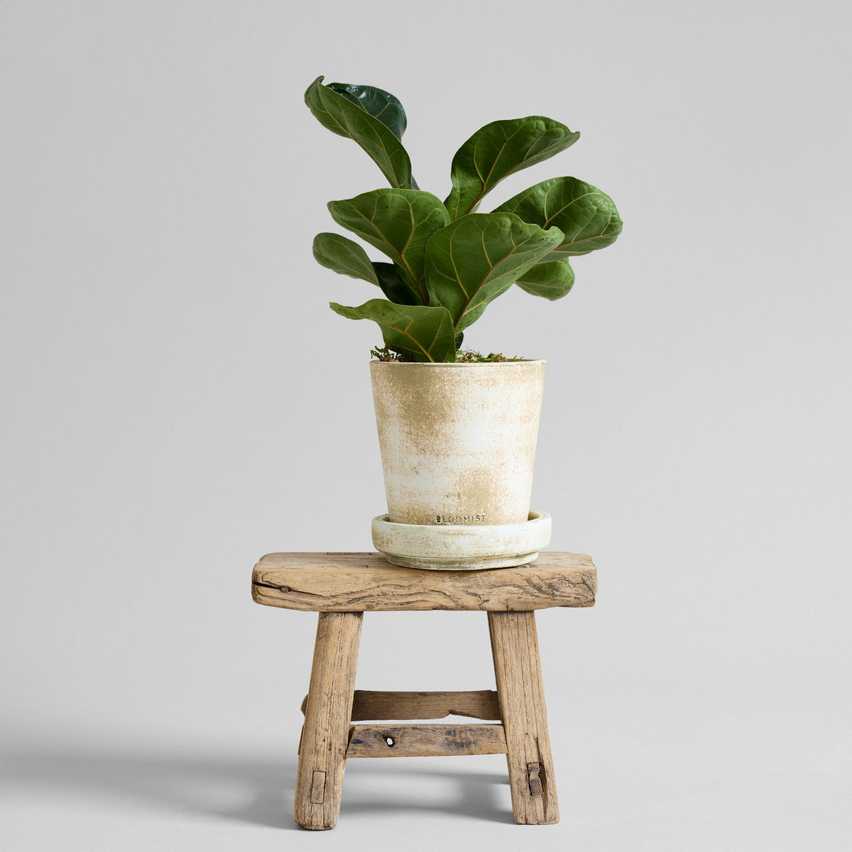 Chinese Stool