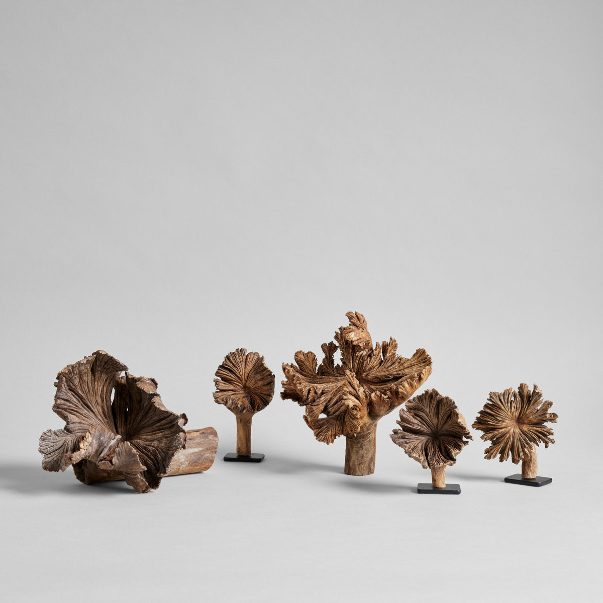 Small Wood Flower on Stand - Bloomist