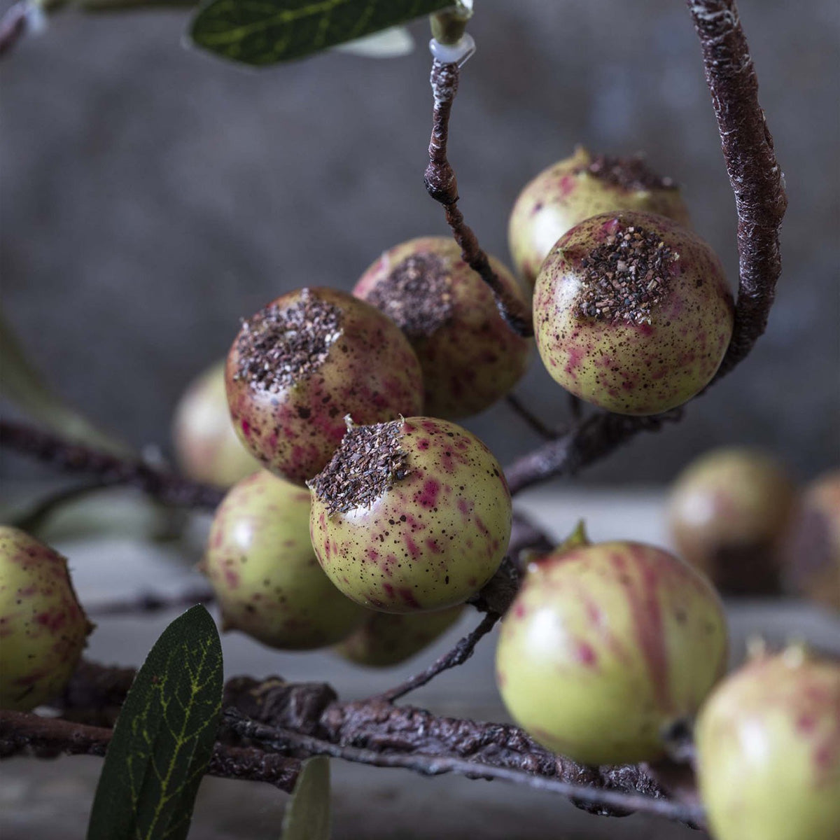Dappled artificial rosehip stems add texture and drama to bouquets or interior floral styling
