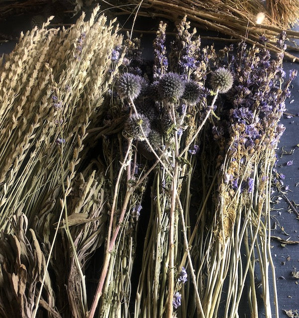 Dried Globe Thistle