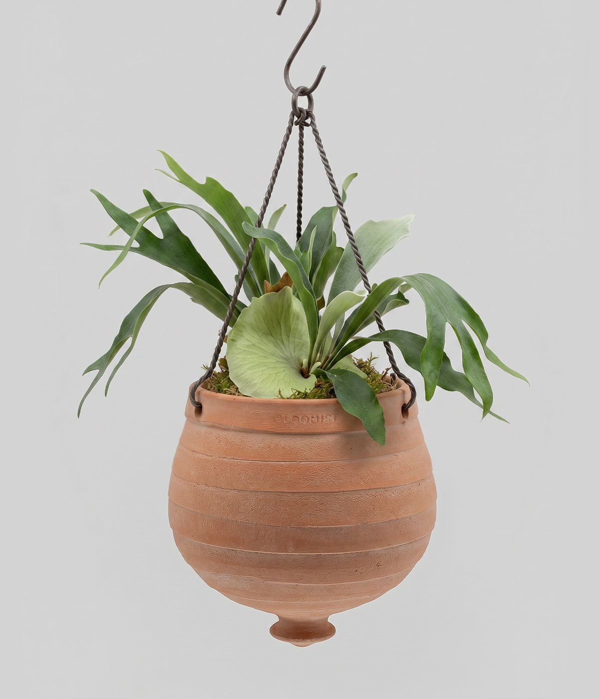 Terracotta Ridge Hanging Planter, Whitewash