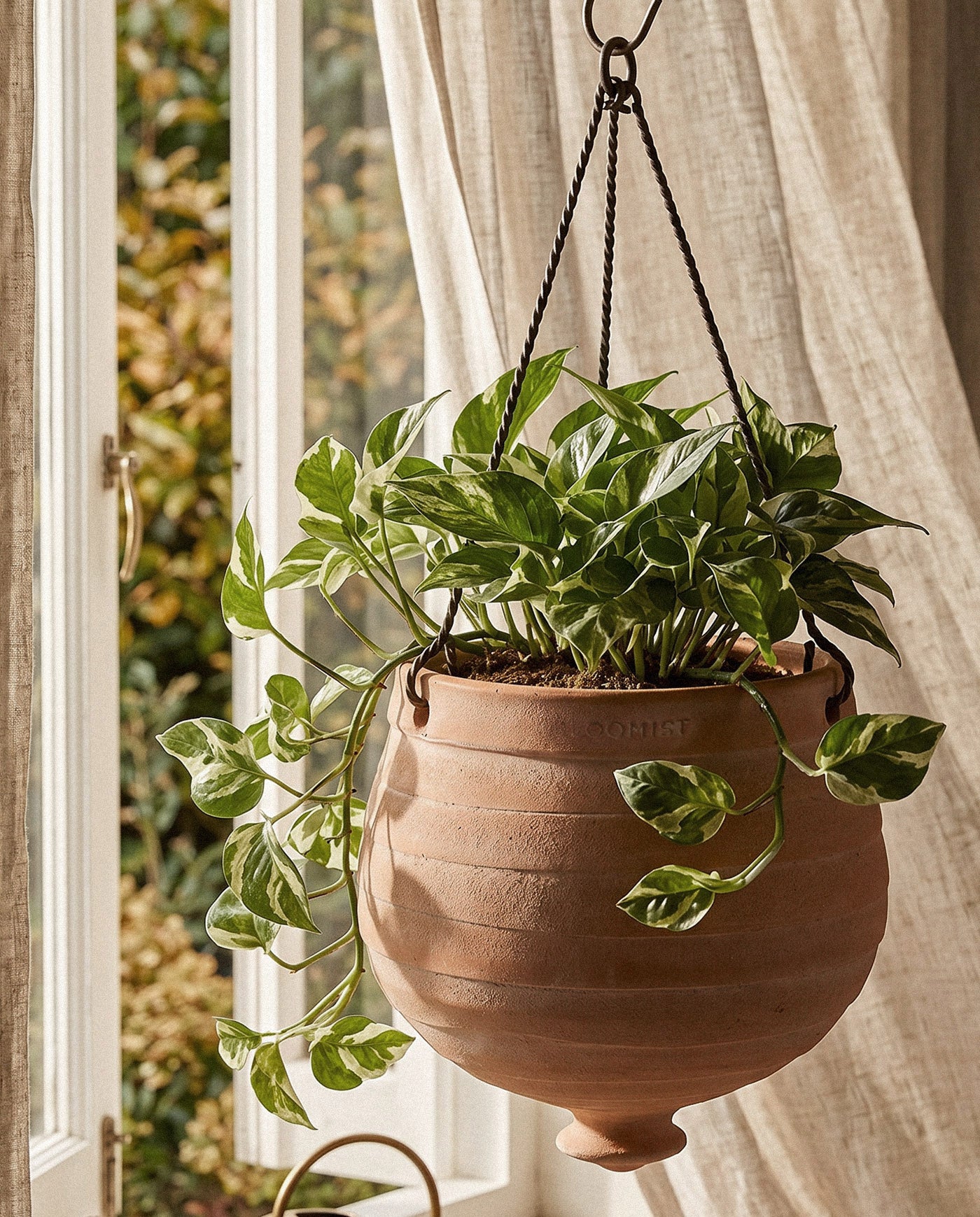 Terracotta Ridge Hanging Planter, Whitewash