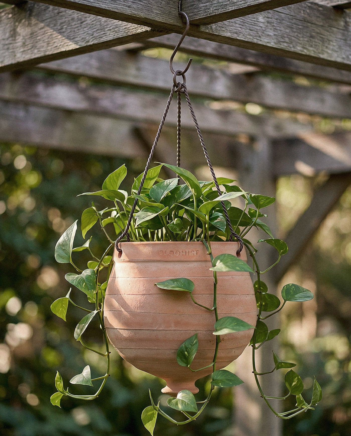 Terracotta Ridge Hanging Planter, Whitewash