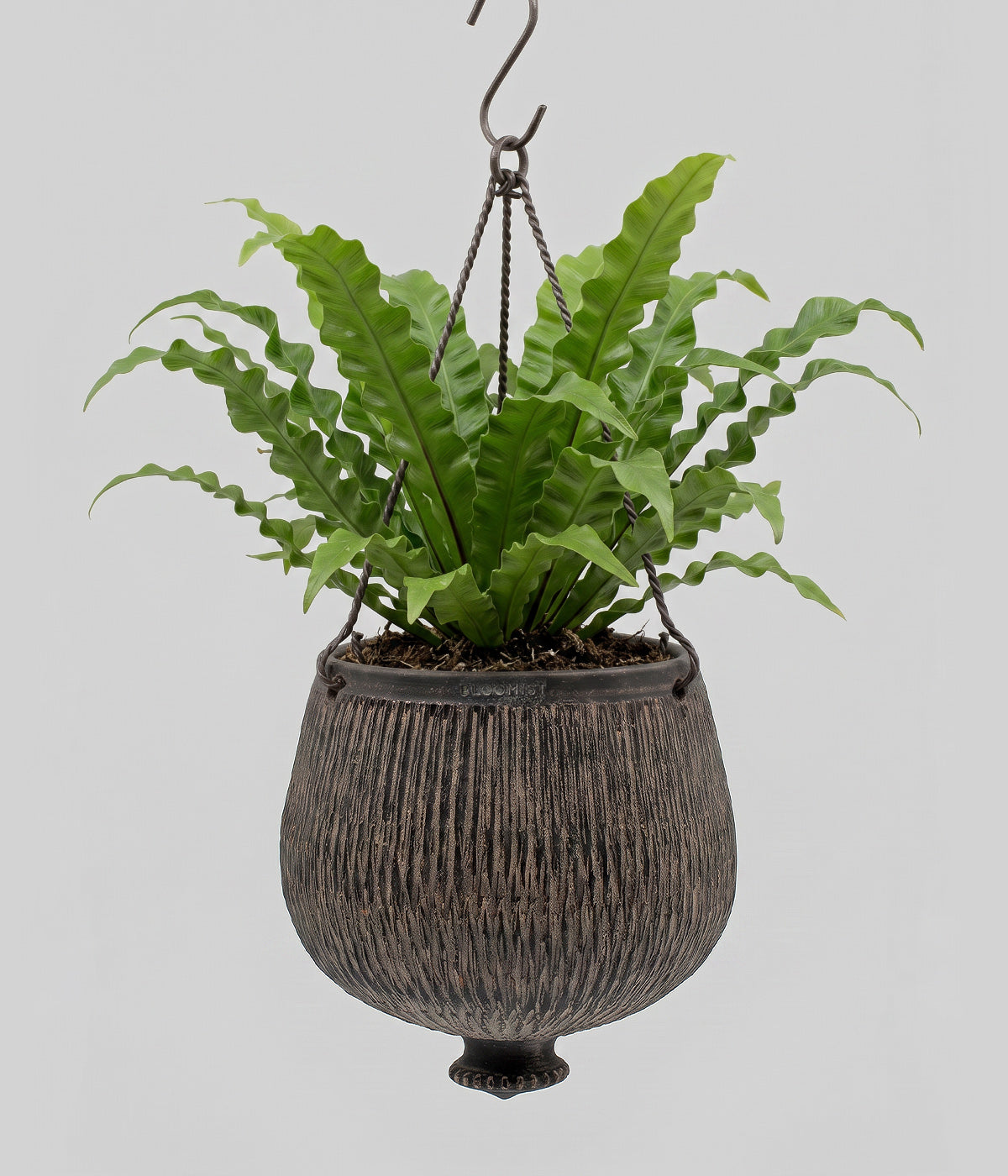 Terracotta Reed Hanging Planter, Dark Charcoal Wash