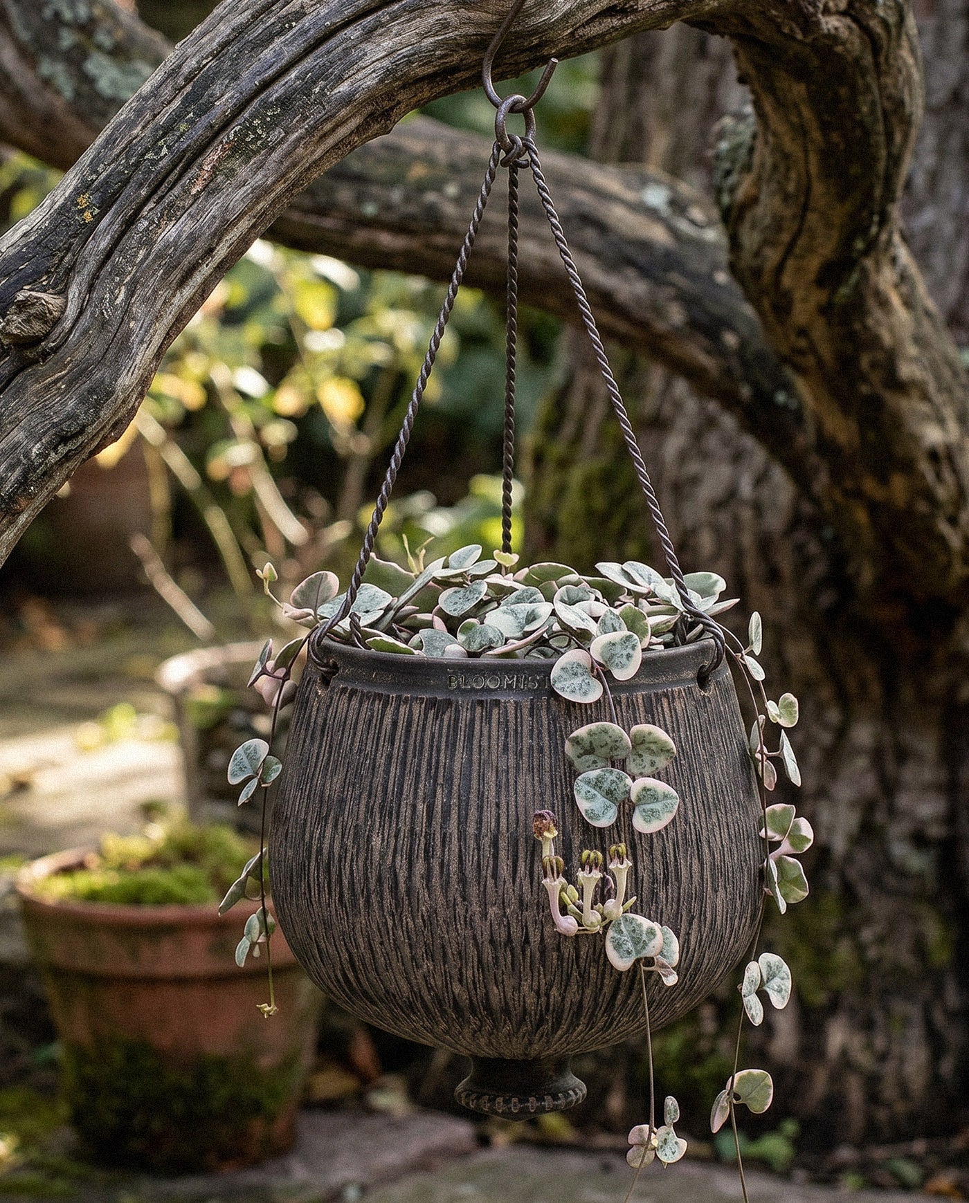 Terracotta Reed Hanging Planter, Dark Charcoal Wash