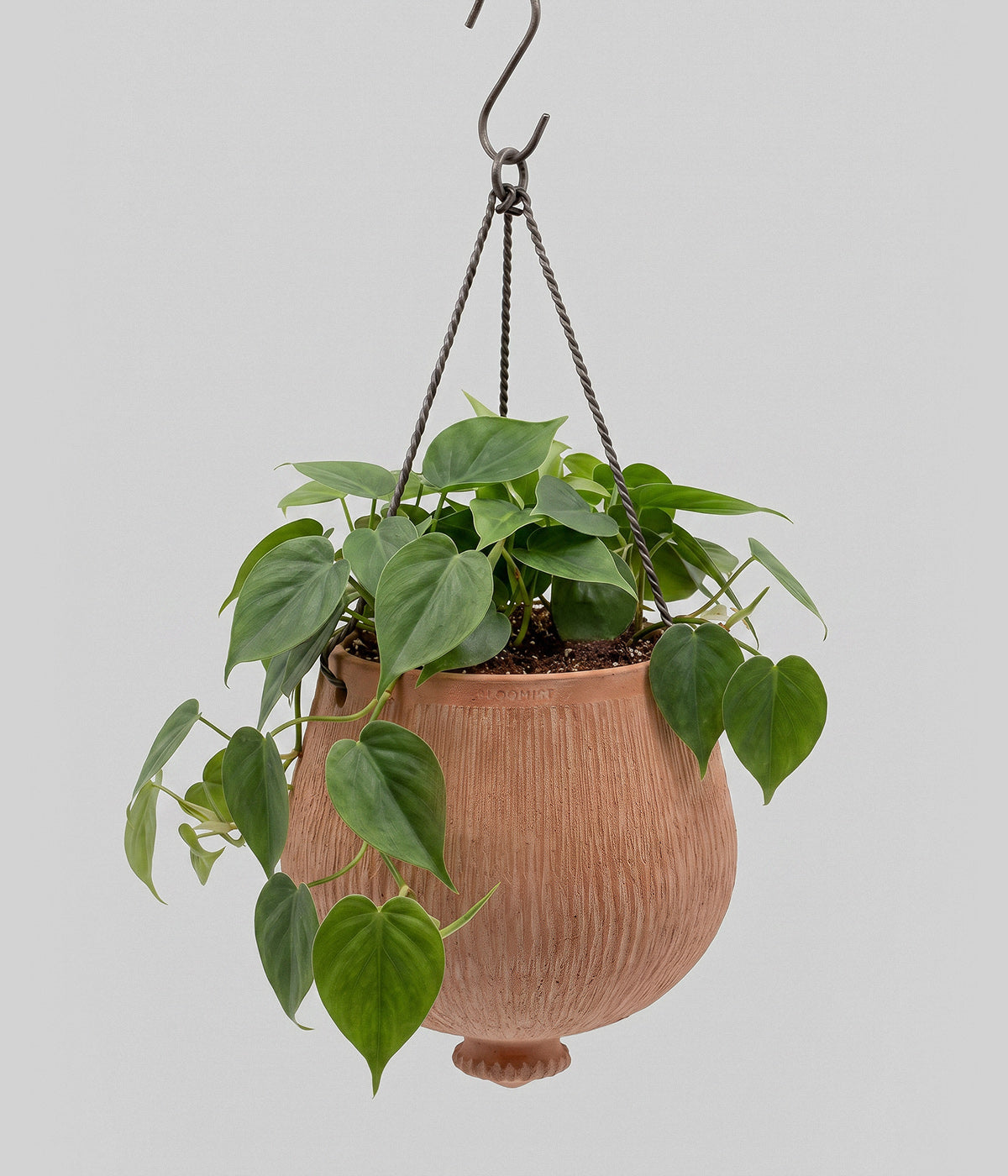 Terracotta Reed Hanging Planter, Whitewash