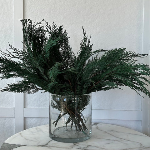 Preserved Cedar - Bloomist
