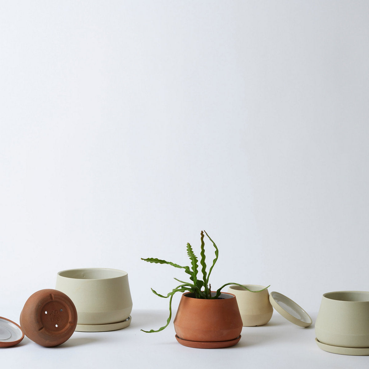 Rancho Planter, Sand - Bloomist