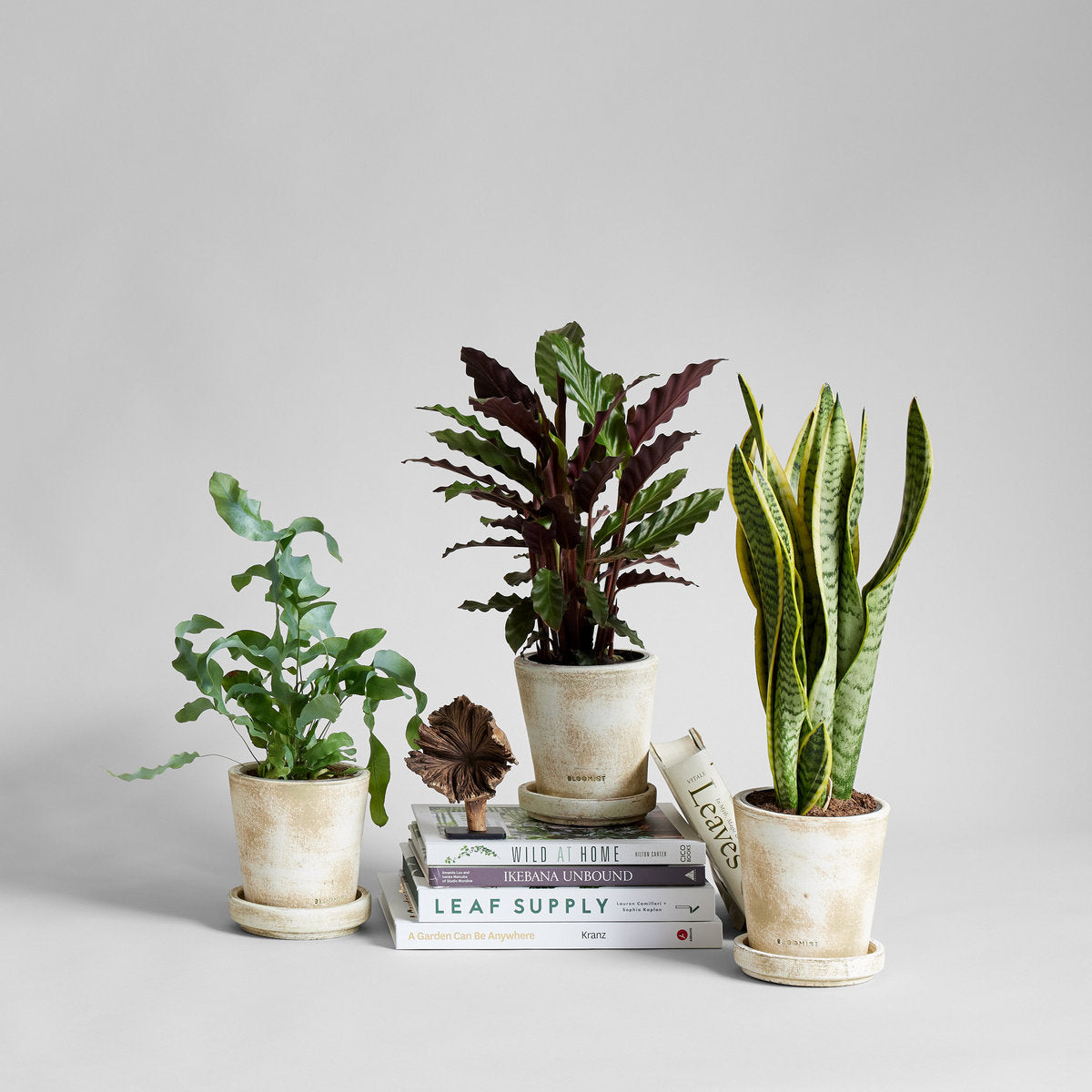Small Wood Flower on Stand - Bloomist