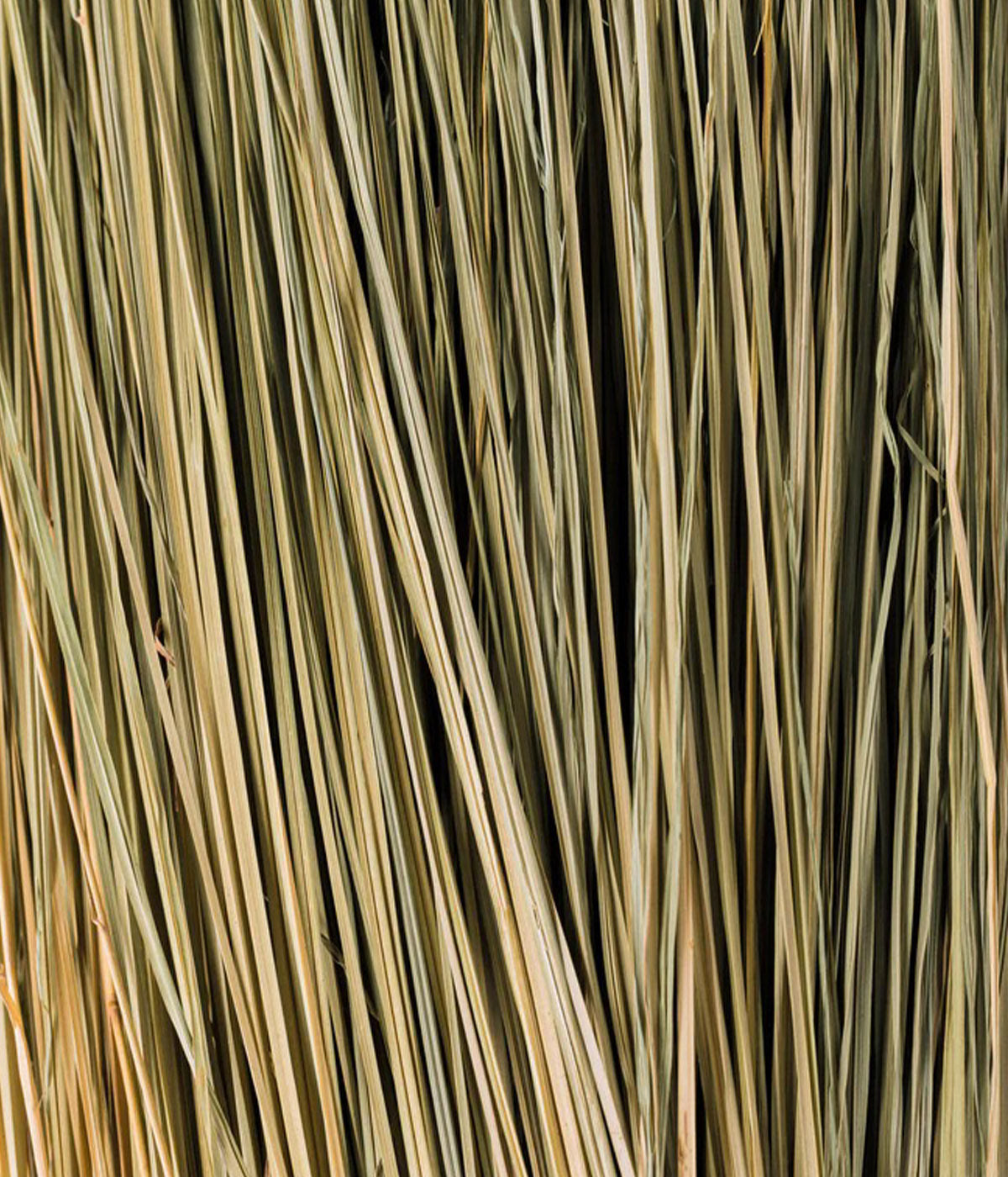 Rustic grass decor with warm neutral straw tones