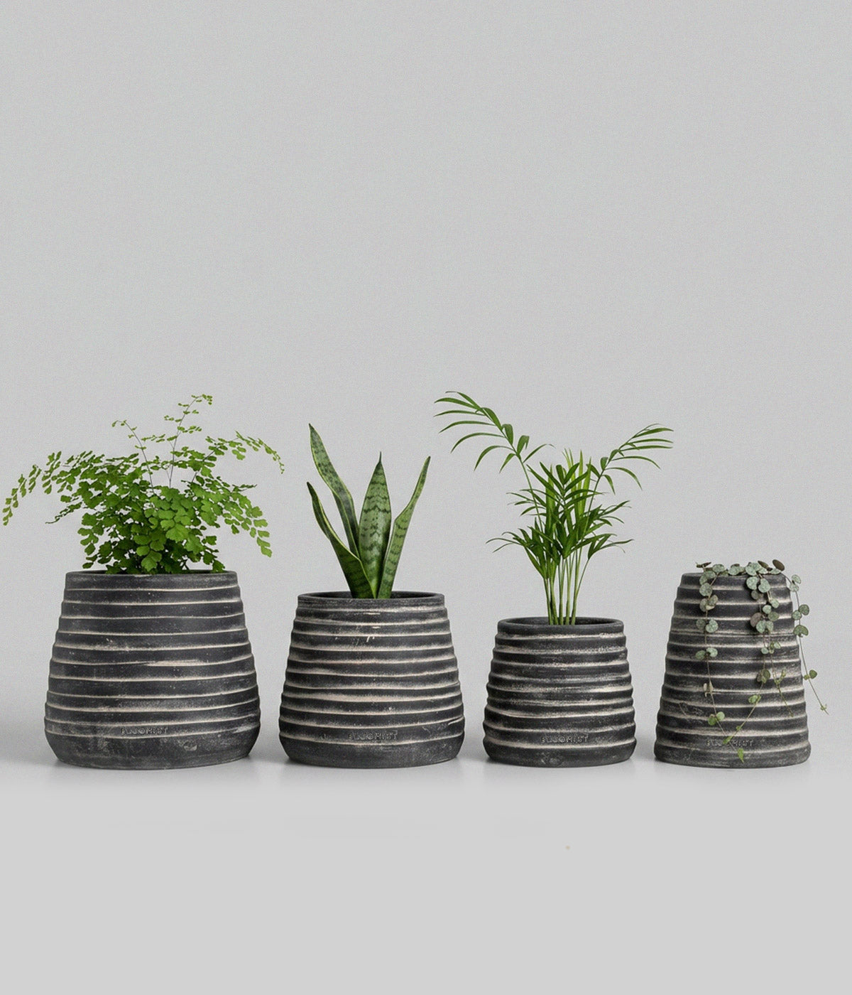 Ridge Terracotta Planter, Dark Charcoal Wash