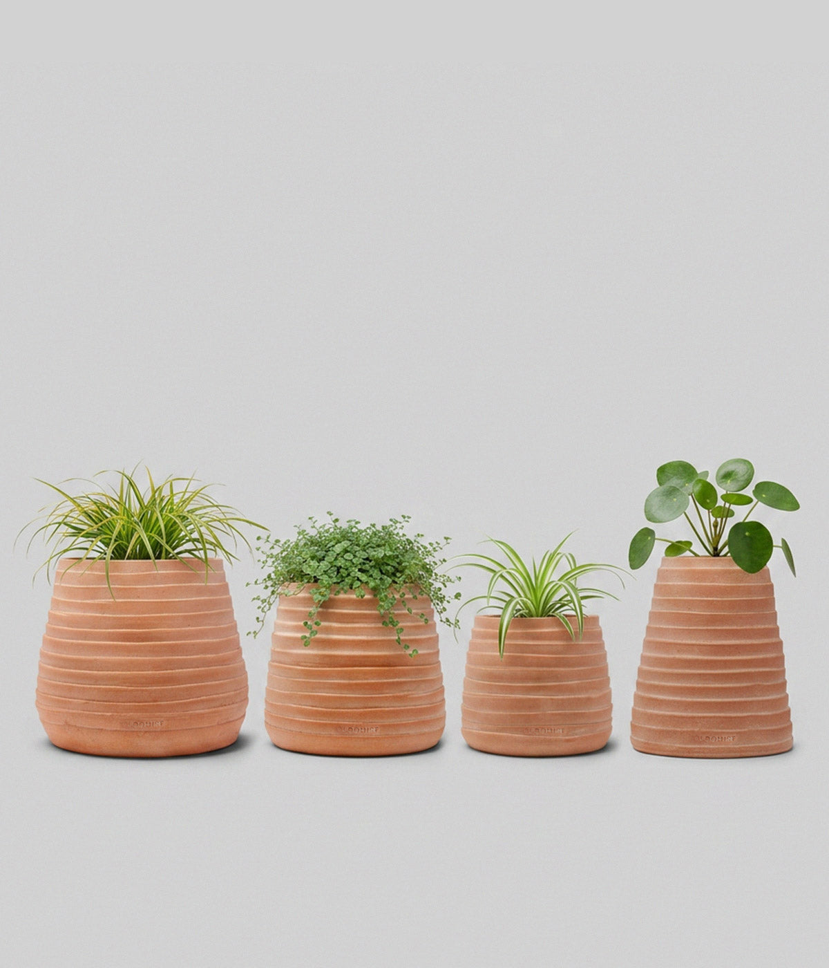 Ridge Terracotta Planter, Whitewash