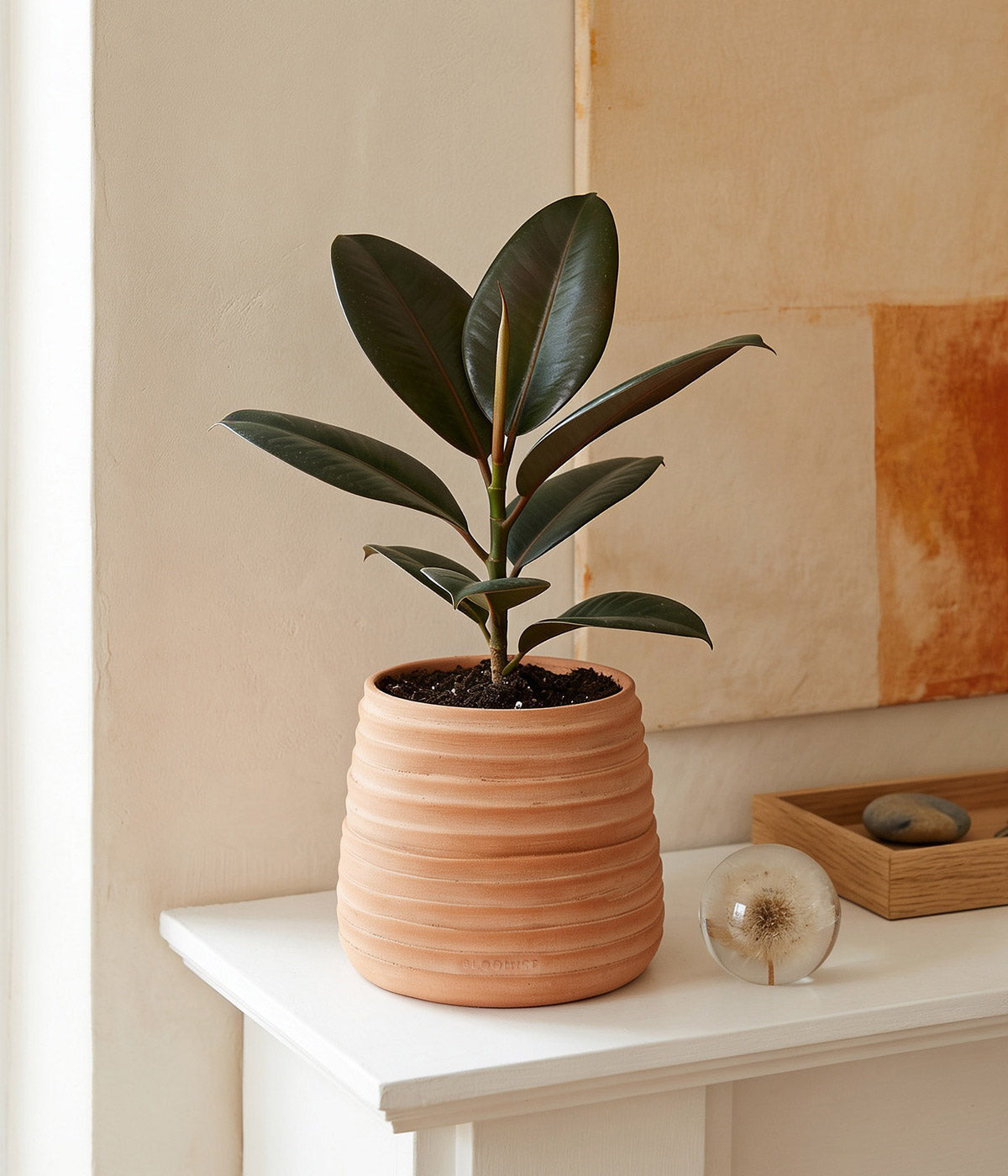 Ridge Terracotta Planter, Whitewash