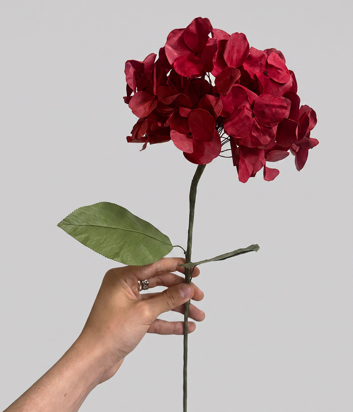 Hand holding a burgundy paper hydrangea stem with clustered florets and green leaves