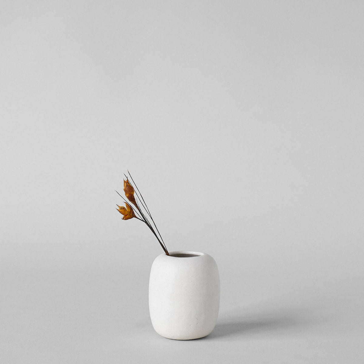 White stoneware vase holding dried botanical stems