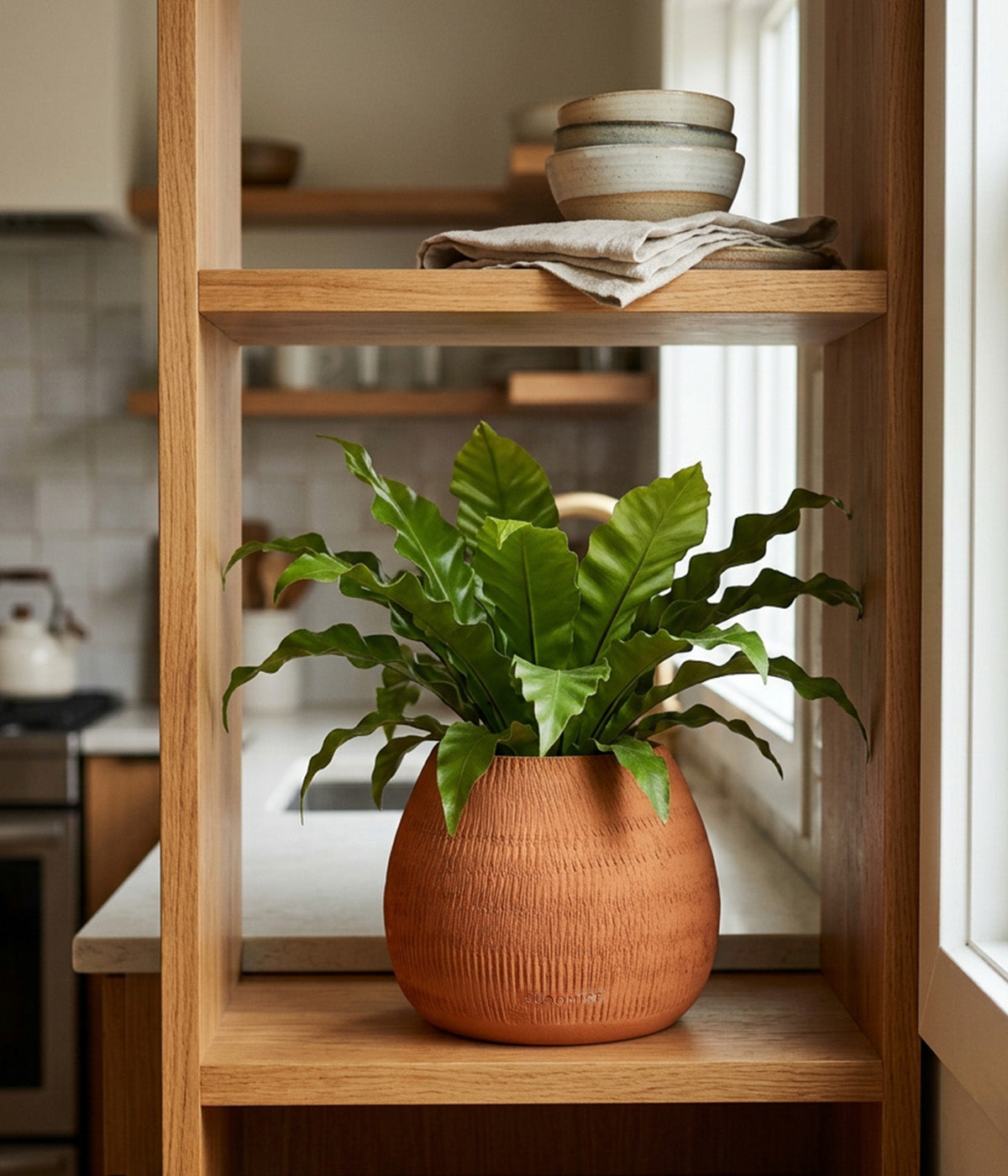 Reed Planter, Natural Terracotta