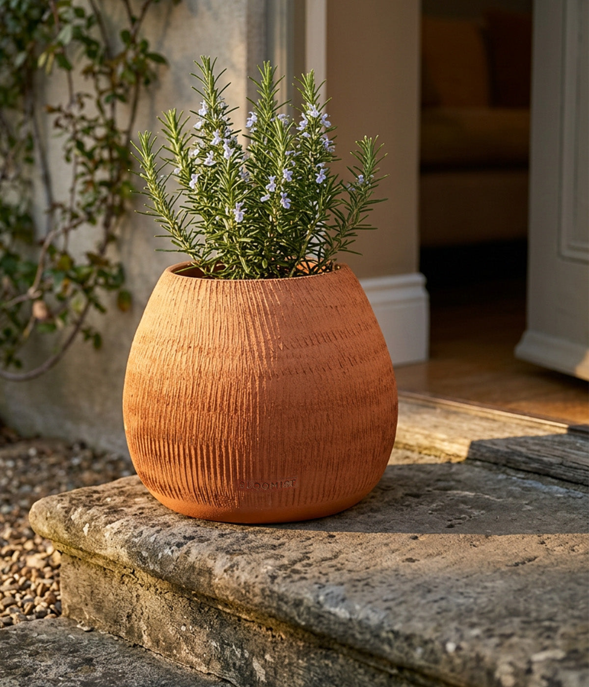 Reed Planter, Natural Terracotta