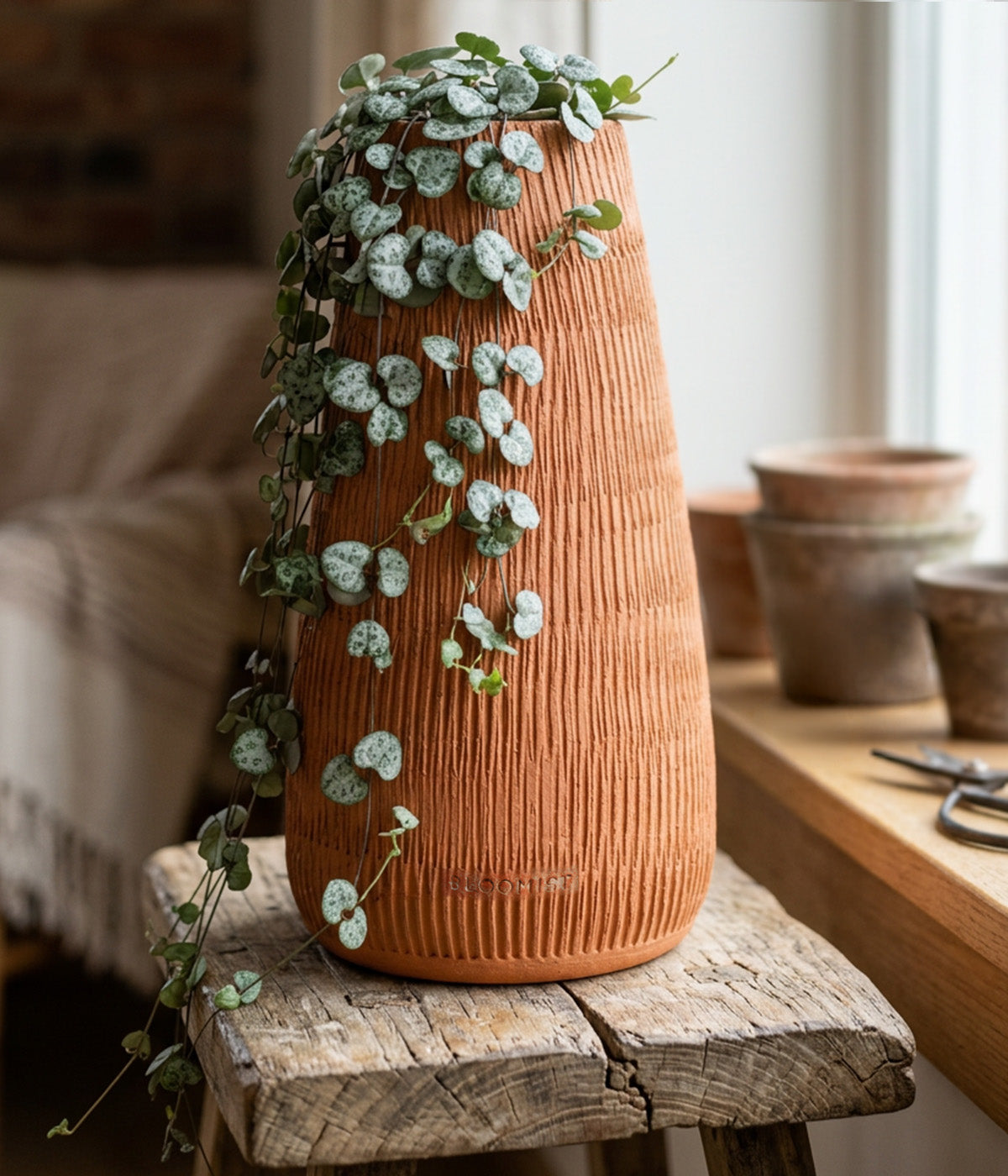 Reed Planter, Natural Terracotta