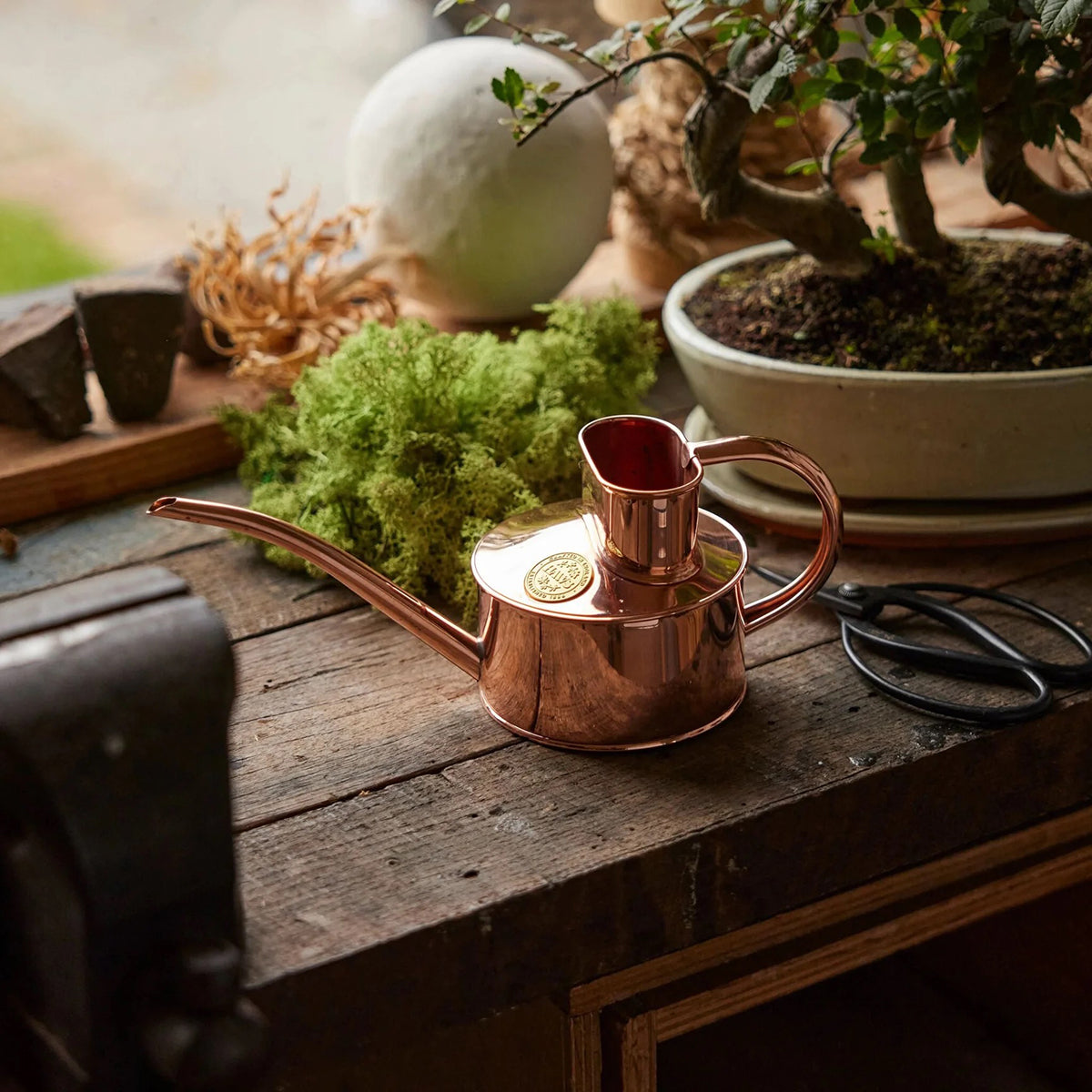 Watering Can for Houseplants with no drip spout perfect for indoor care