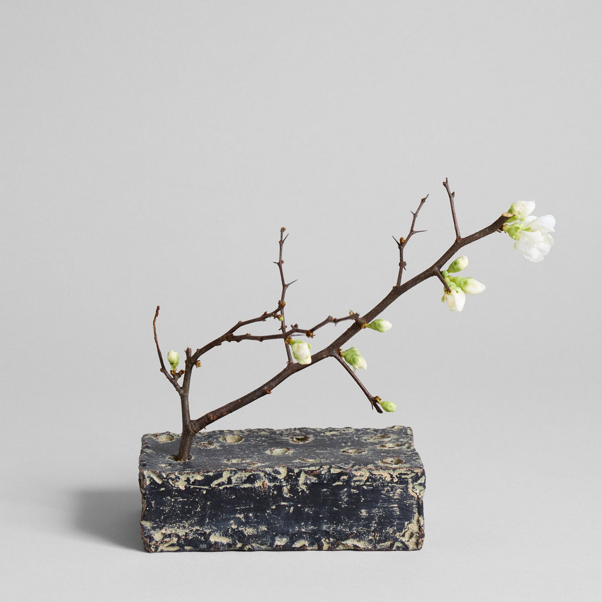 Ceramic Frogs Block - Bloomist