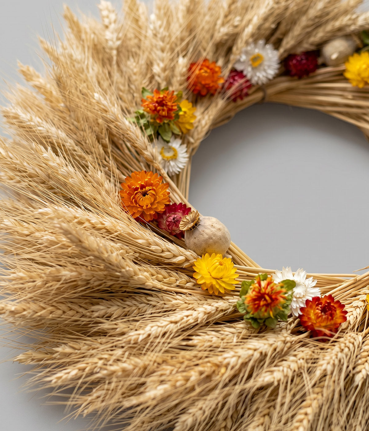 Dried wheat wreath with golden stalks and orange safflower blooms