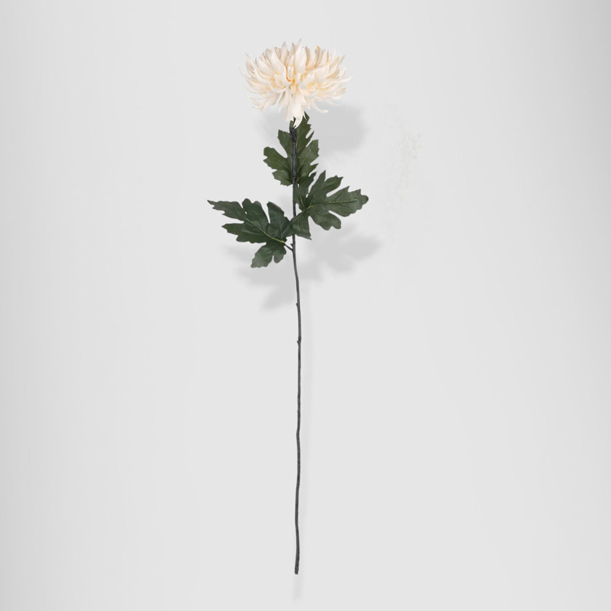 artificial chrysanthemum cream
