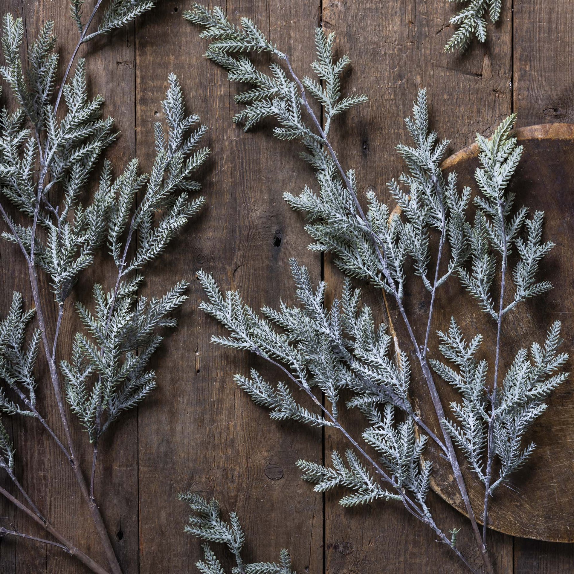 Frosted needle pine branch with lifelike texture for simple seasonal compositions