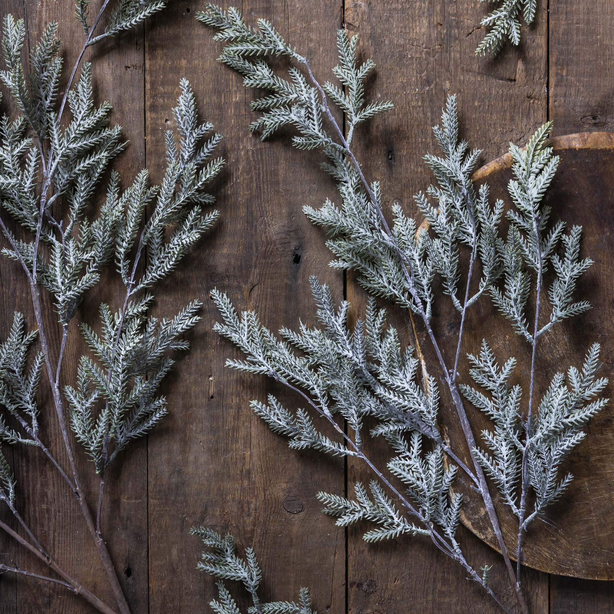 Frosted needle pine branch with lifelike texture for simple seasonal compositions
